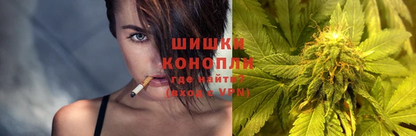 ПСИЛОЦИБИНОВЫЕ ГРИБЫ Богданович
