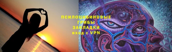 прущие грибы Белокуриха