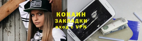 прущие грибы Белокуриха