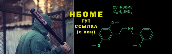 прущие грибы Белокуриха
